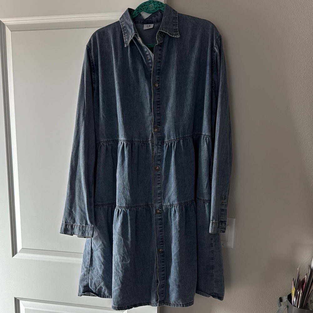 Women’s Little Bipsy Denim Button-Up Dress